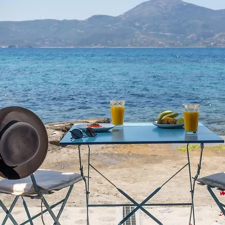 Traditional And Sailor's Sirma *